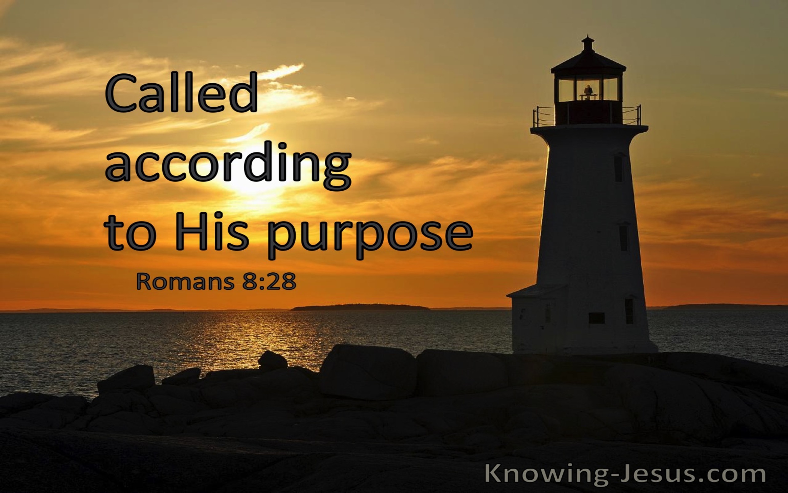 Romans 8:28 Called According To His Purpose (windows)01:01